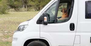 ground pet shipping