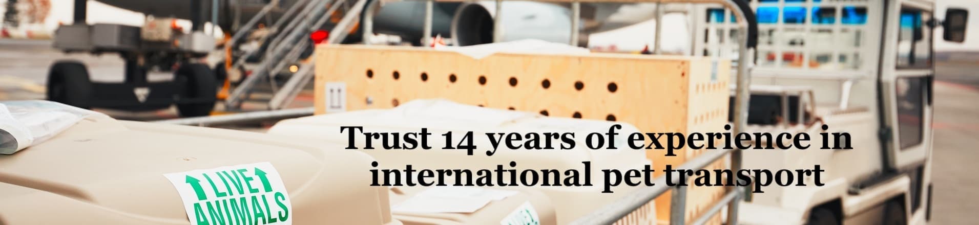 pet shipping international