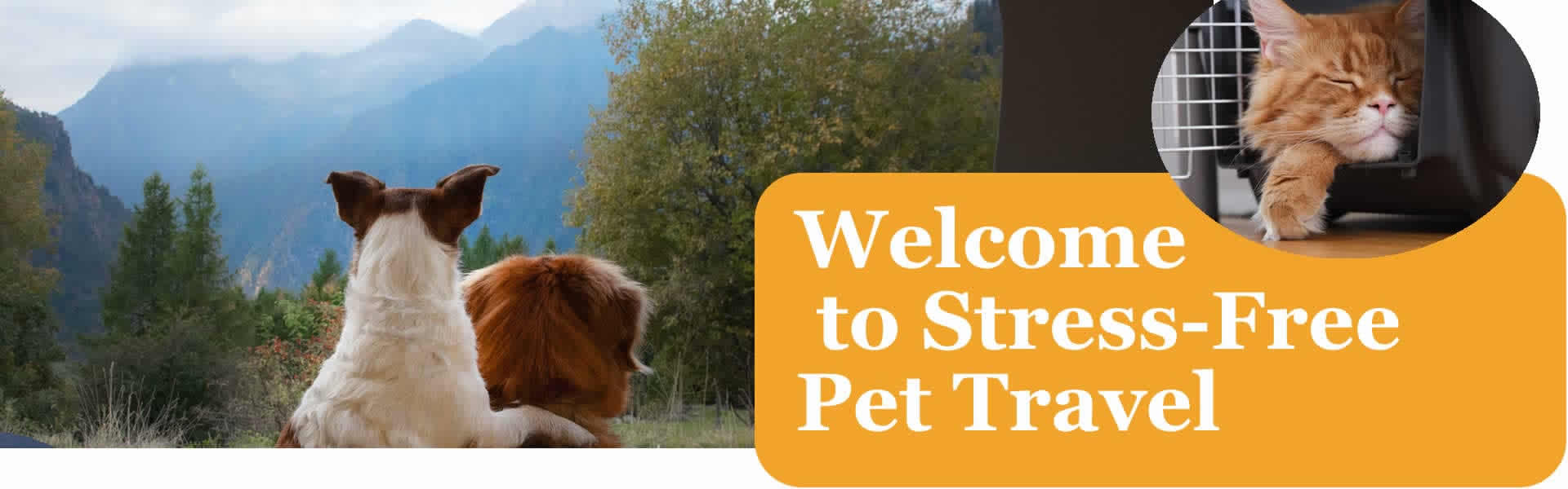 Pet Travel Transport